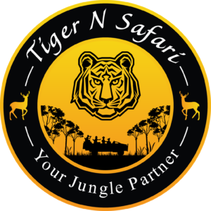 Tiger%20&%20Safari